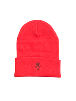 BT Beanies